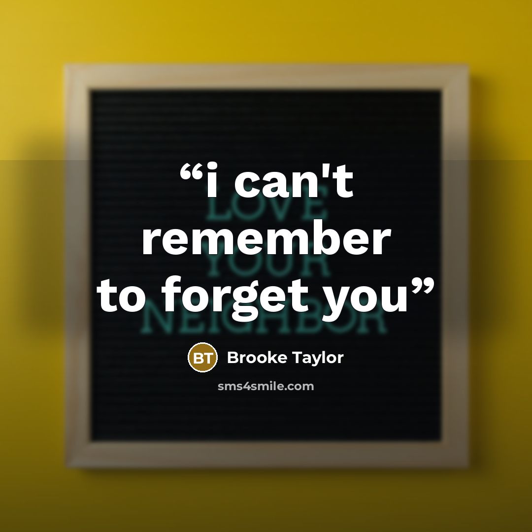 “i can't remember to forget you” quote by Brooke Taylor