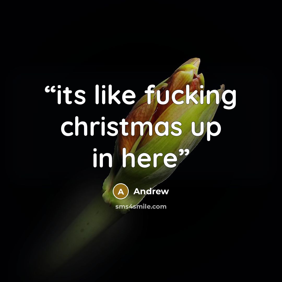 “its like fucking christmas up in here” quote by andrew