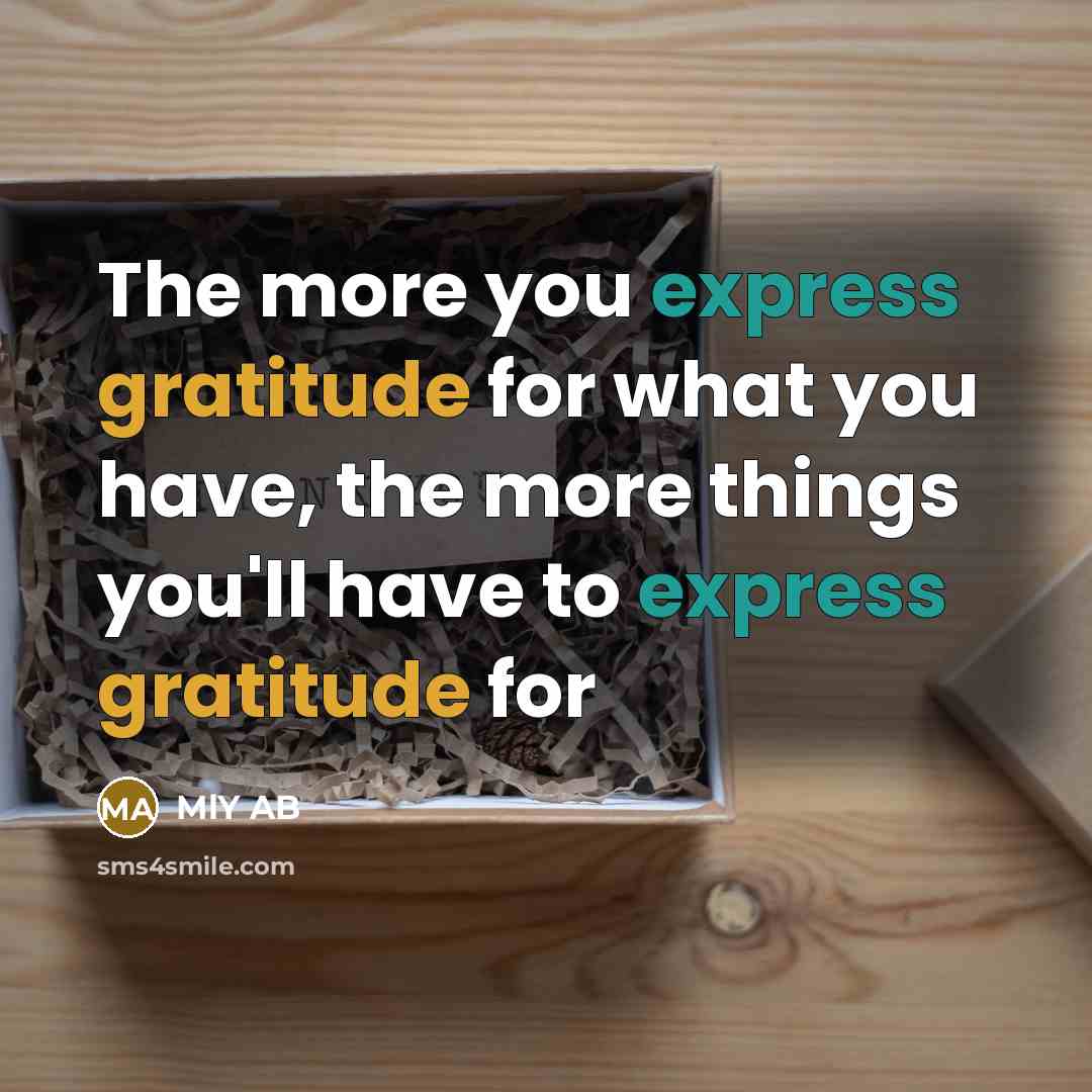 “The more you express gratitude for what you have, the more things you'll have to express gratitude for” quote by MlY AB