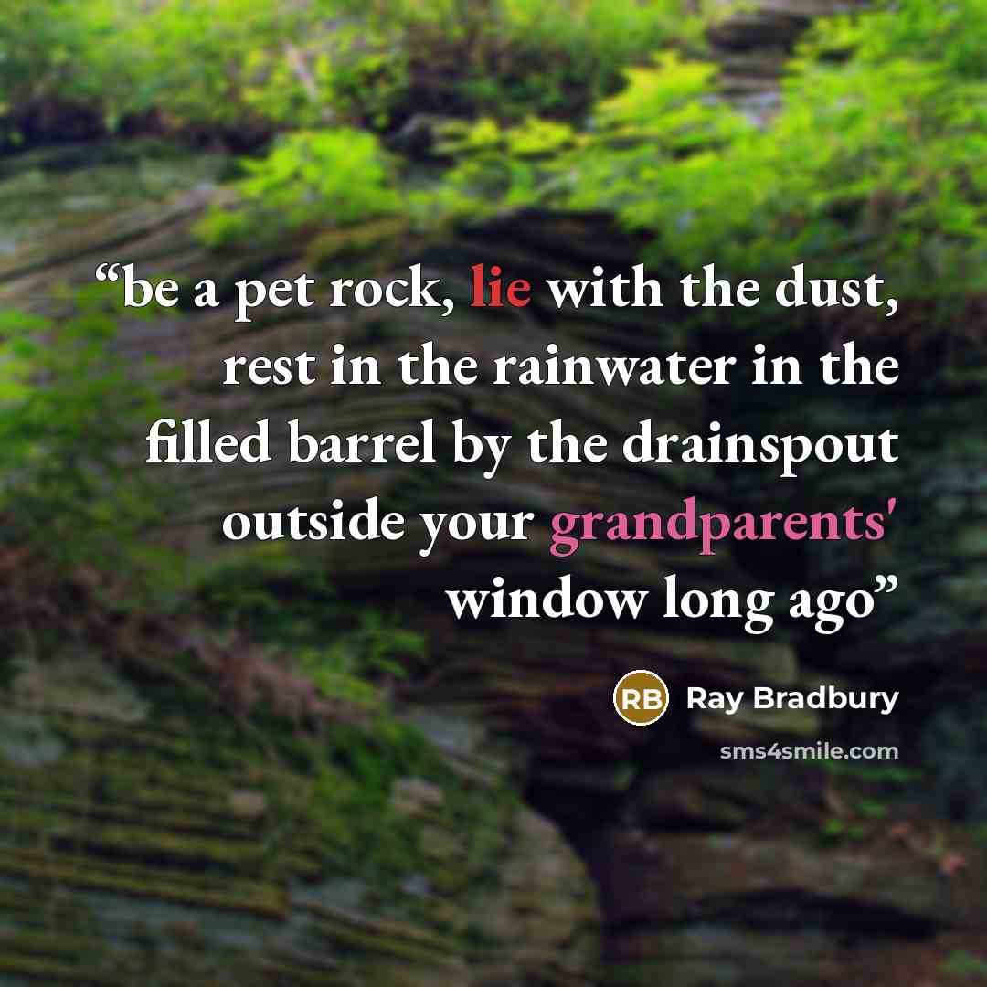 “be a pet rock, lie with the dust, rest in the rainwater in the filled barrel by the drainspout outside your grandparents' window long ago” quote by Ray Bradbury