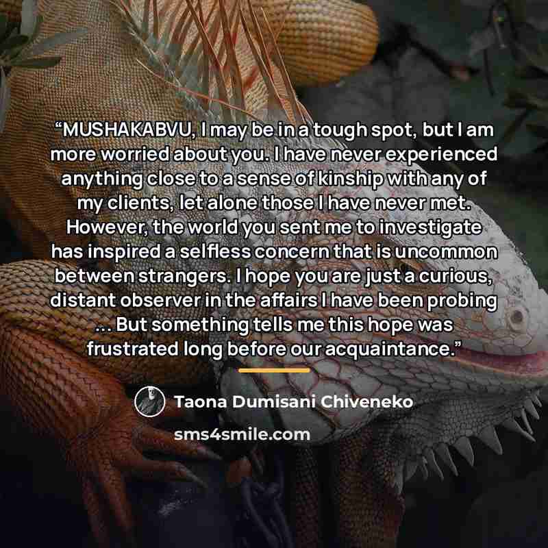 “MUSHAKABVU, I may be in a tough spot, but I am more worried about you. I have never experienced anything close to a sense of kinship with any of my clients, let alone those I have never met. However, the world you sent me to investigate has inspired a selfless concern that is uncommon between…” quote by Taona Dumisani Chiveneko