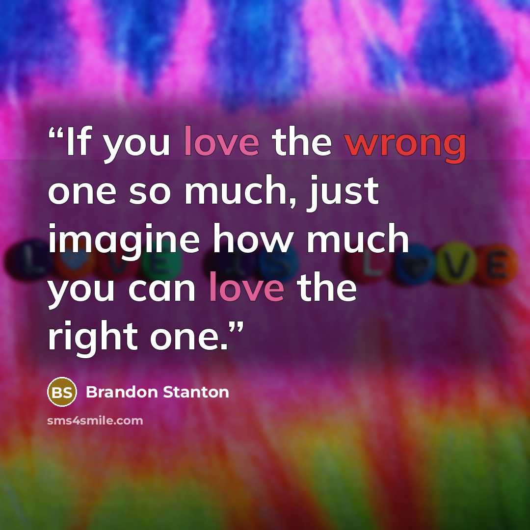 “If you love the wrong one so much, just imagine how much you can love the right one.” quote by Brandon Stanton