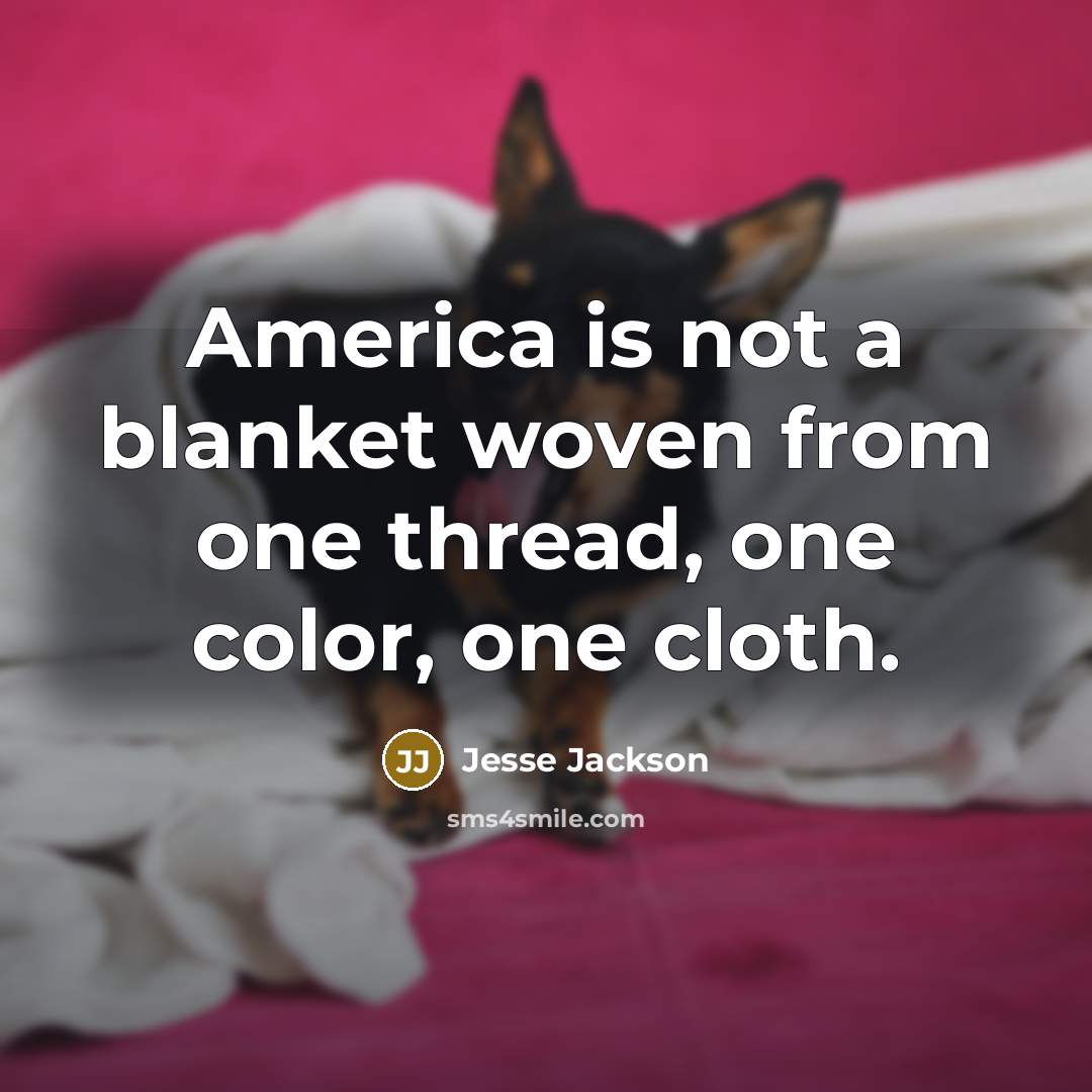 “America is not a blanket woven from one thread, one color, one cloth.” quote by Jesse Jackson