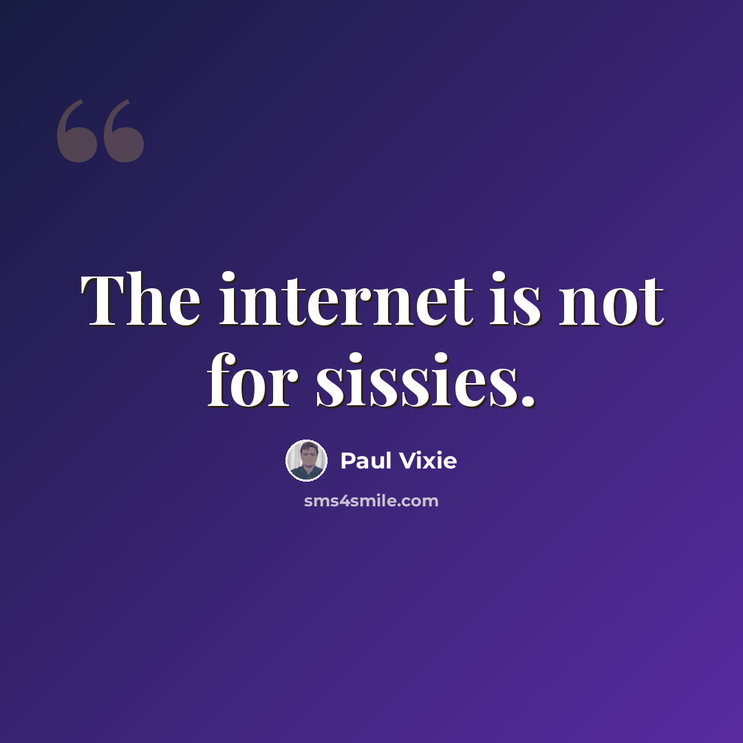 “The internet is not for sissies.” quote by Paul Vixie