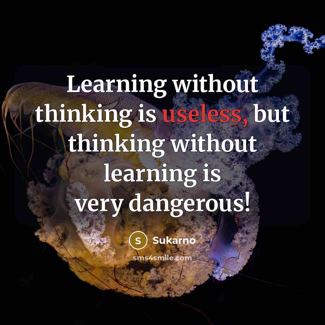 “Learning without thinking is useless, but thinking without learning is very dangerous!” quote by Sukarno