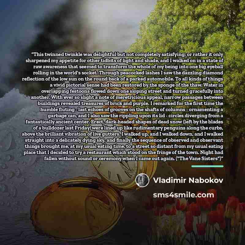 “This twinned twinkle was delightful but not completely satisfying; or rather it only sharpened my appetite for other tidbits of light and shade, and I walked on in a state of raw awareness that seemed to transform the whole of my being into one big eyeball rolling in the world's socket. Through…” quote by Vladimir Nabokov