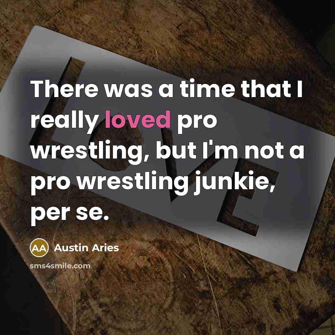 “There was a time that I really loved pro wrestling, but I'm not a pro wrestling junkie, per se.” quote by Austin Aries
