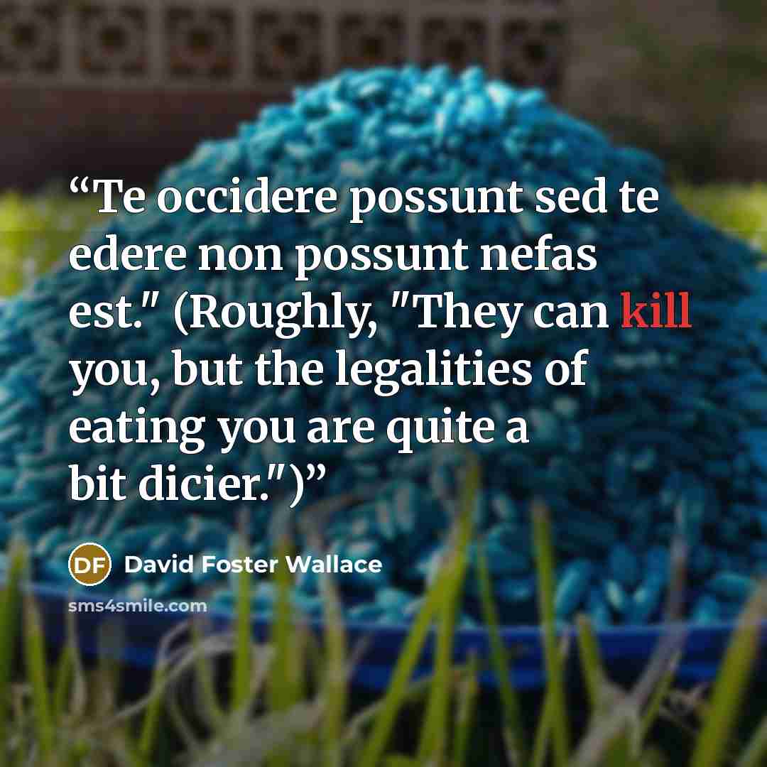 “Te occidere possunt sed te edere non possunt nefas est." (Roughly, "They can kill you, but the legalities of eating you are quite a bit dicier.")” quote by David Foster Wallace