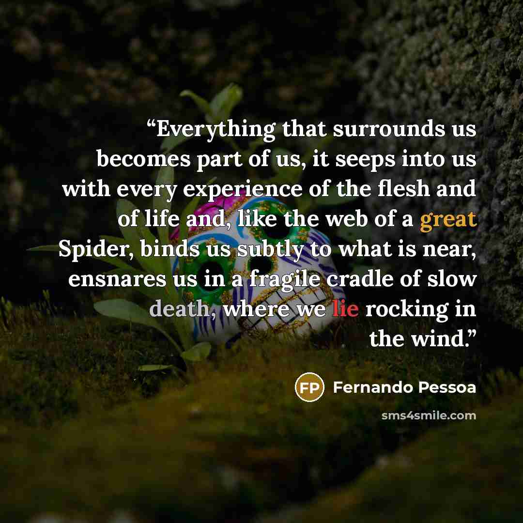 “Everything that surrounds us becomes part of us, it seeps into us with every experience of the flesh and of life and, like the web of a great Spider, binds us subtly to what is near, ensnares us in a fragile cradle of slow death, where we lie rocking in the wind.” quote by Fernando Pessoa