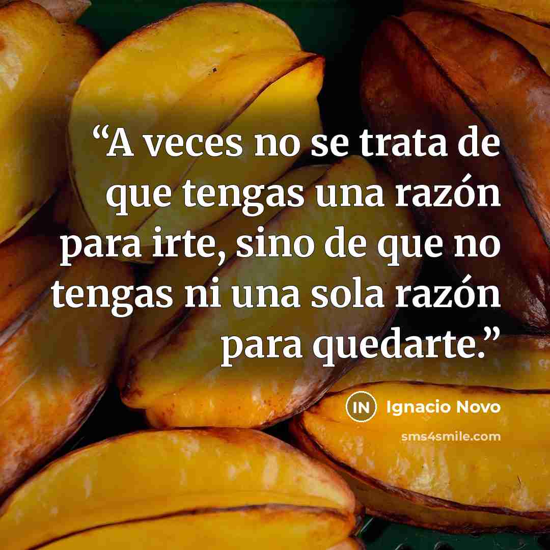 “A veces no se trata de que tengas una razón para irte, sino de que no tengas ni una sola razón para quedarte.” quote by Ignacio Novo