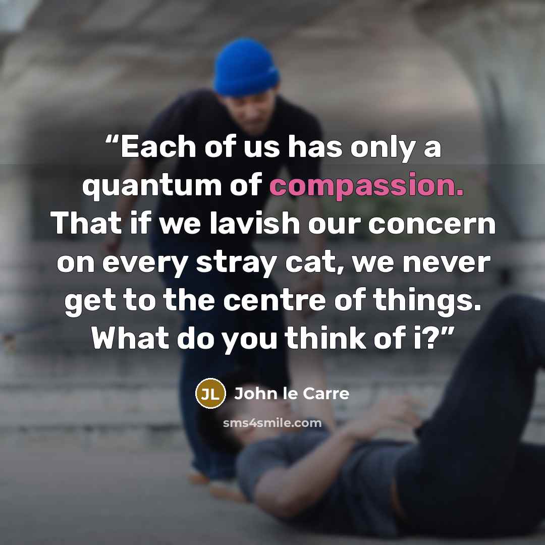 “Each of us has only a quantum of compassion. That if we lavish our concern on every stray cat, we never get to the centre of things. What do you think of i?” quote by John le Carré
