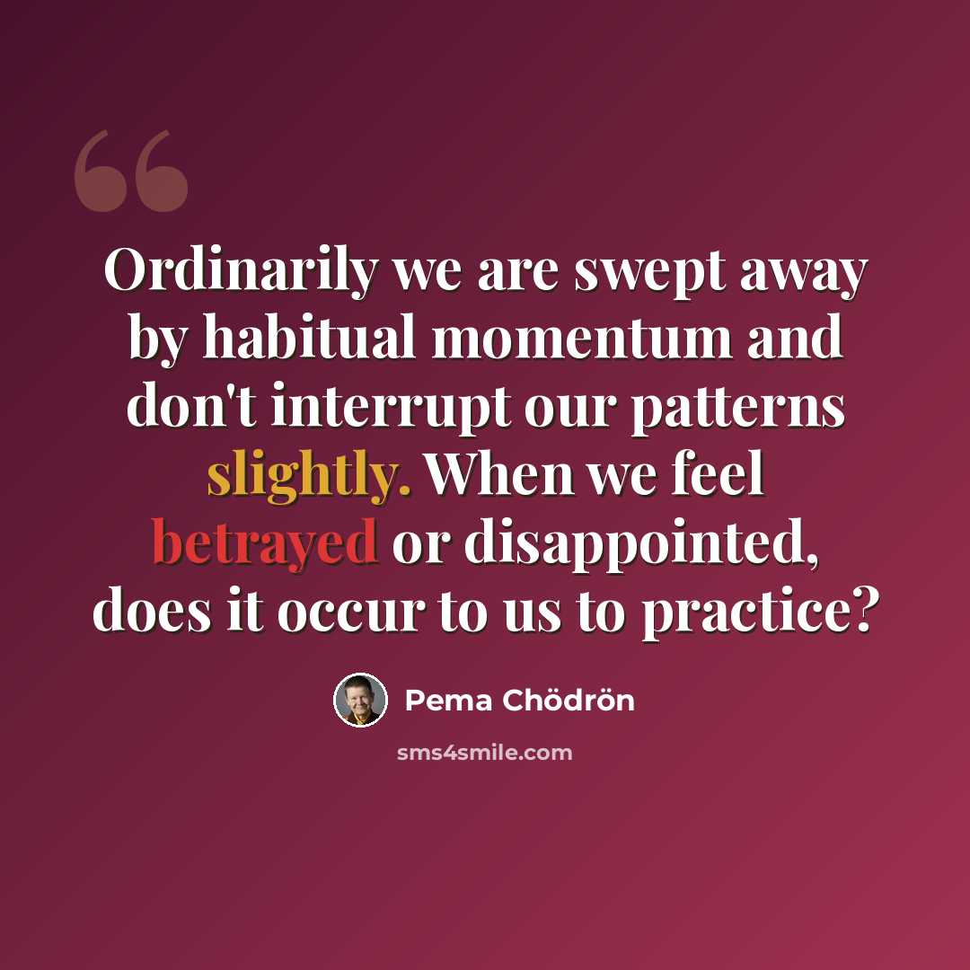 “Ordinarily we are swept away by habitual momentum and don't interrupt our patterns slightly. When we feel betrayed or disappointed, does it occur to us to practice?” quote by Pema Chodron