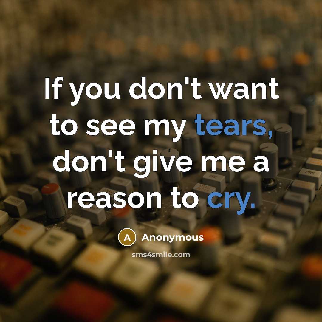 “If you don't want to see my tears, don't give me a reason to cry.” quote by Anonymous