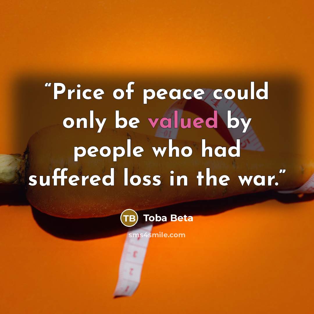 “Price of peace could only be valued by people who had suffered loss in the war.” quote by Toba Beta