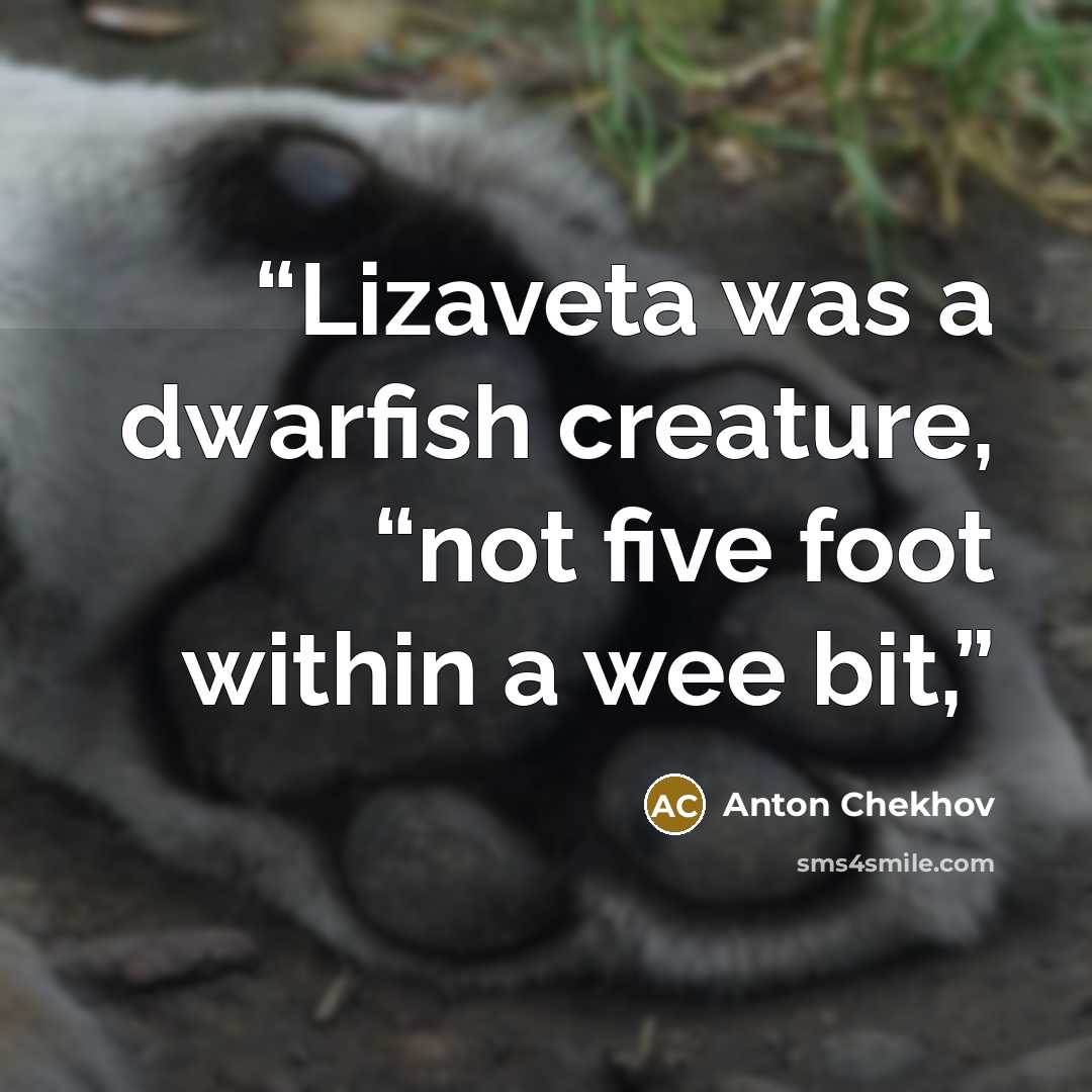 “Lizaveta was a dwarfish creature, “not five foot within a wee bit,” quote by Anton Chekhov