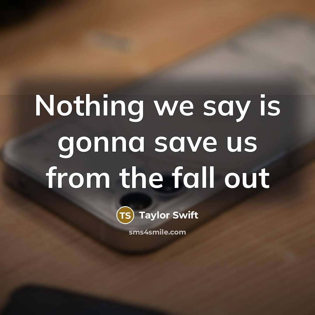 “Nothing we say is gonna save us from the fall out” quote by Taylor Swift