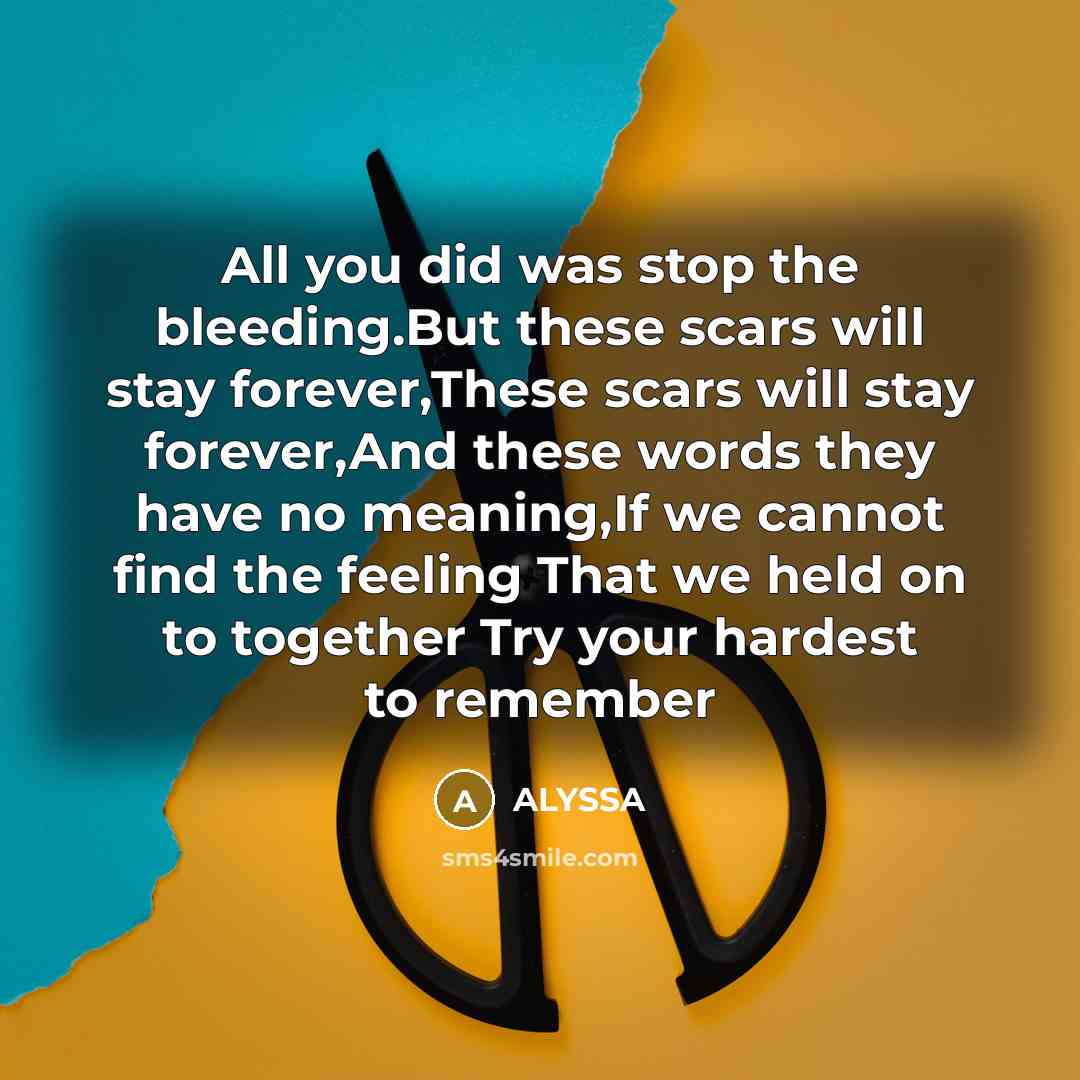 “All you did was stop the bleeding.But these scars will stay forever,These scars will stay forever,And these words they have no meaning,If we cannot find the feeling That we held on to together Try your hardest to remember” quote by Alyssa