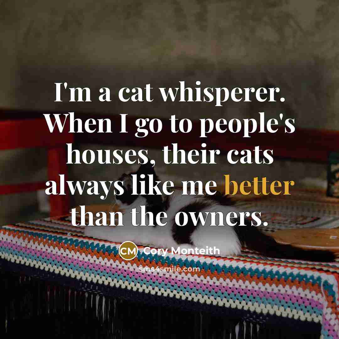 “I'm a cat whisperer. When I go to people's houses, their cats always like me better than the owners.” quote by Cory Monteith