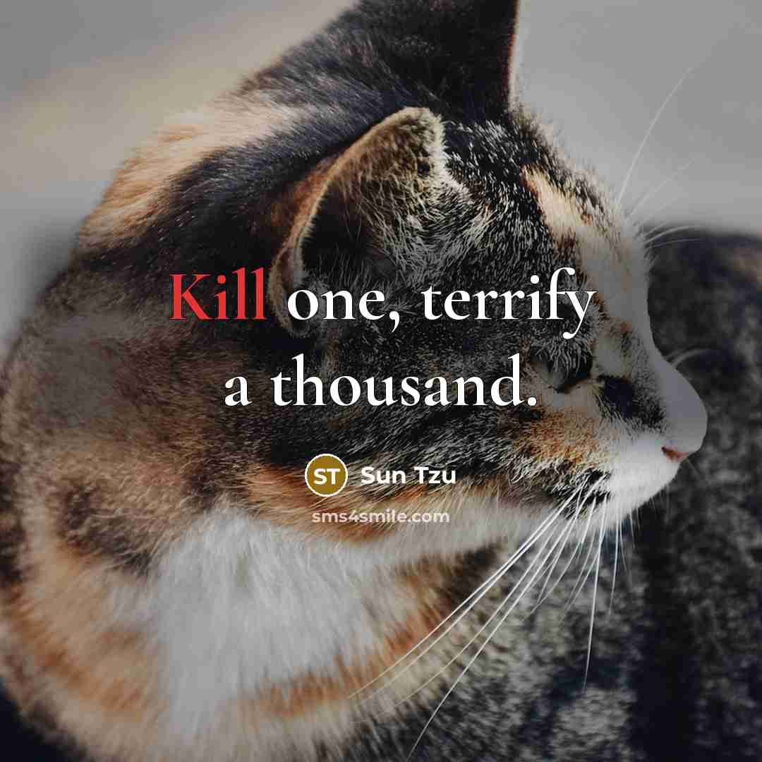 “Kill one, terrify a thousand.” quote by Sun Tzu