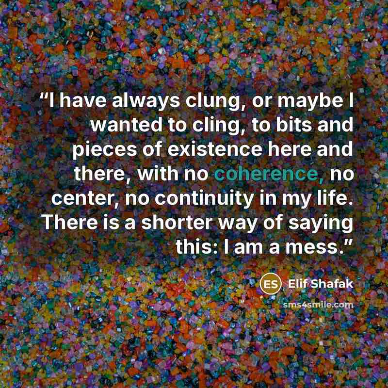 “I have always clung, or maybe I wanted to cling, to bits and pieces of existence here and there, with no coherence, no center, no continuity in my life. There is a shorter way of saying this: I am a mess.” quote by Elif Shafak