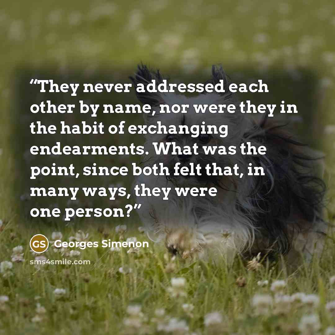 “They never addressed each other by name, nor were they in the habit of exchanging endearments. What was the point, since both felt that, in many ways, they were one person?” quote by Georges Simenon