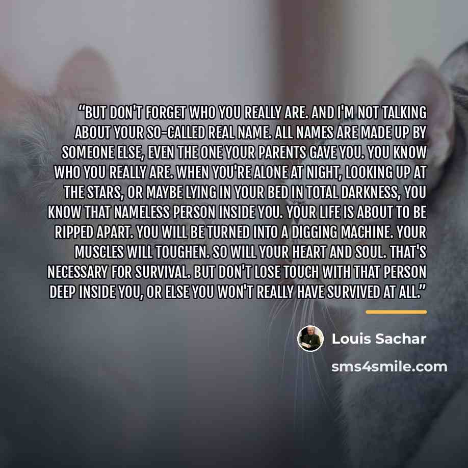 “But don't forget who you really are. And I'm not talking about your so-called real name. All names are made up by someone else, even the one your parents gave you. You know who you really are. When you're alone at night, looking up at the stars, or maybe lying in your bed in total darkness, you…” quote by Louis Sachar
