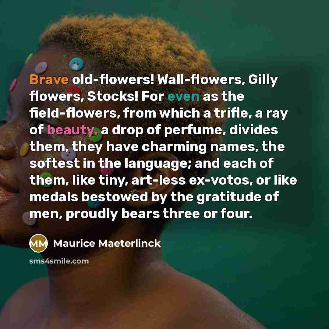 “Brave old-flowers! Wall-flowers, Gilly flowers, Stocks! For even as the field-flowers, from which a trifle, a ray of beauty, a drop of perfume, divides them, they have charming names, the softest in the language; and each of them, like tiny, art-less ex-votos, or like medals bestowed by the…” quote by Maurice Maeterlinck