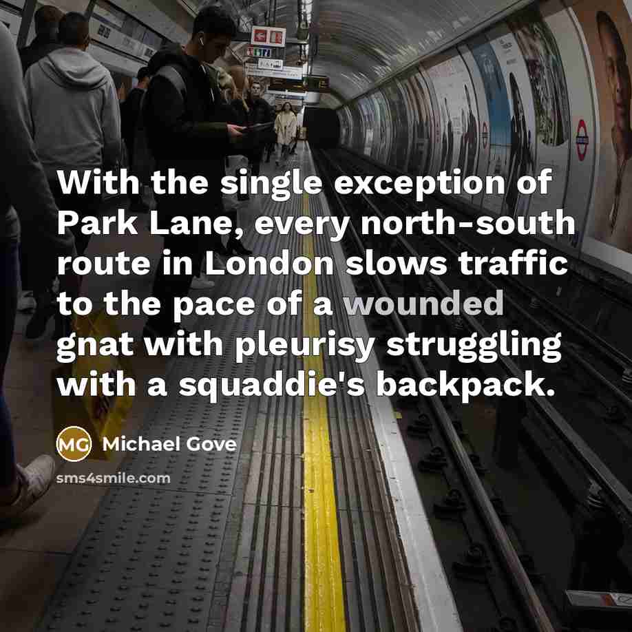 “With the single exception of Park Lane, every north-south route in London slows traffic to the pace of a wounded gnat with pleurisy struggling with a squaddie's backpack.” quote by Michael Gove