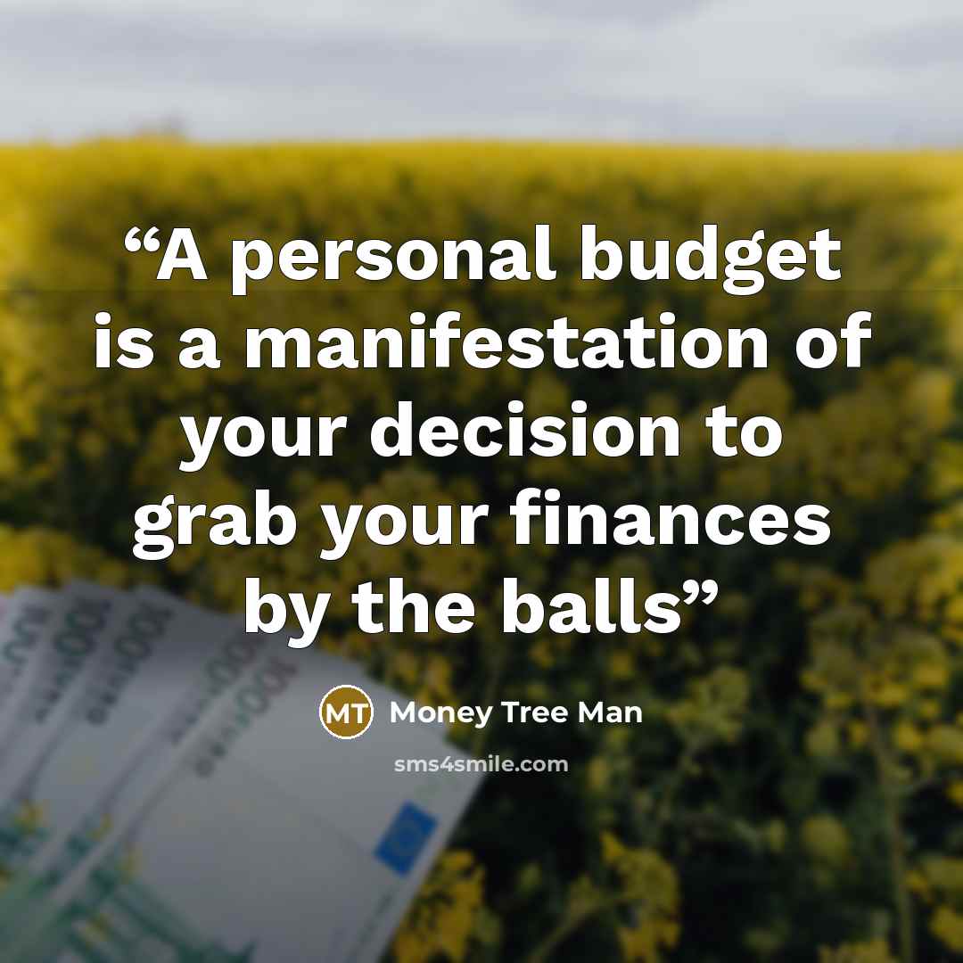 “A personal budget is a manifestation of your decision to grab your finances by the balls” quote by Money Tree Man