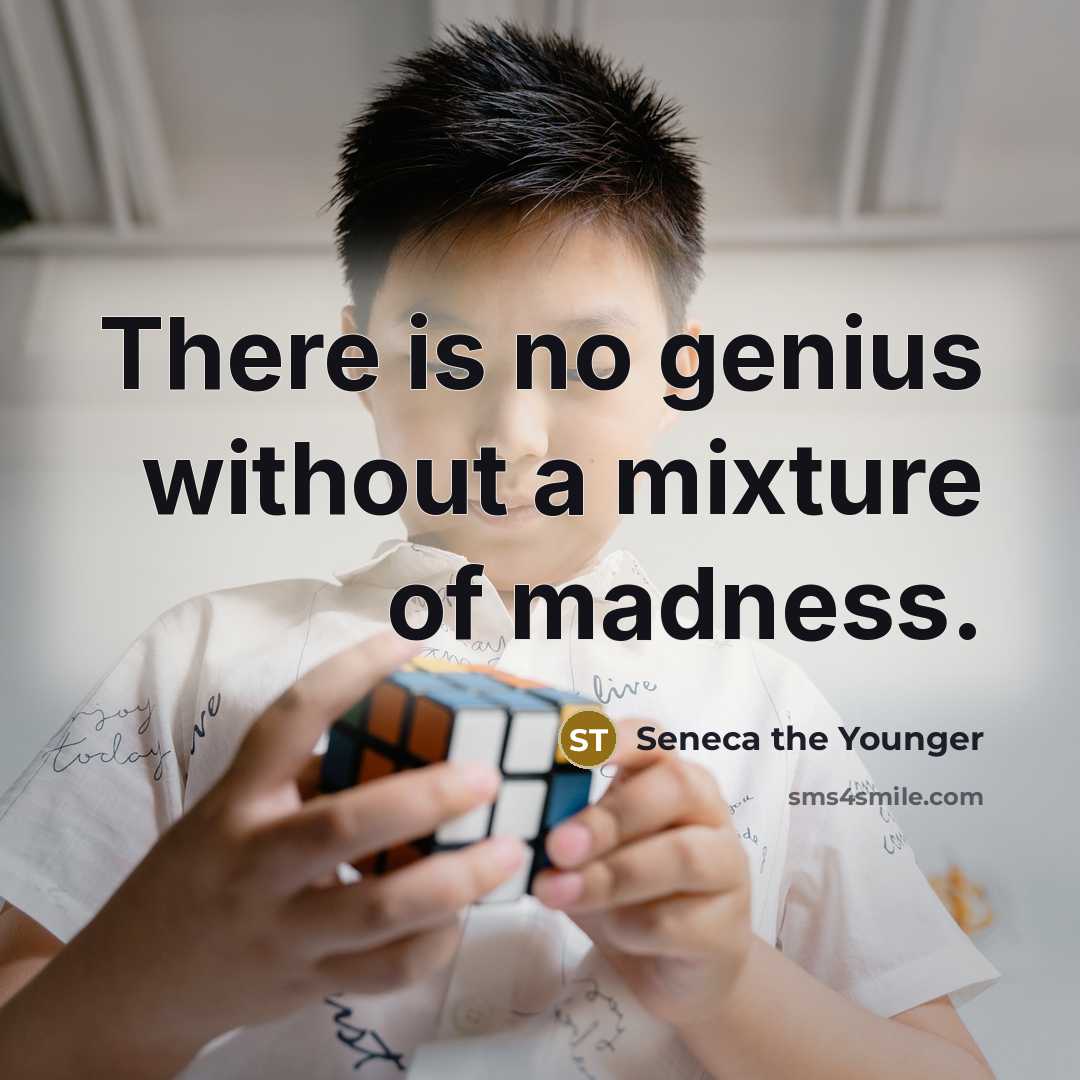 “There is no genius without a mixture of madness.” quote by Seneca the Younger