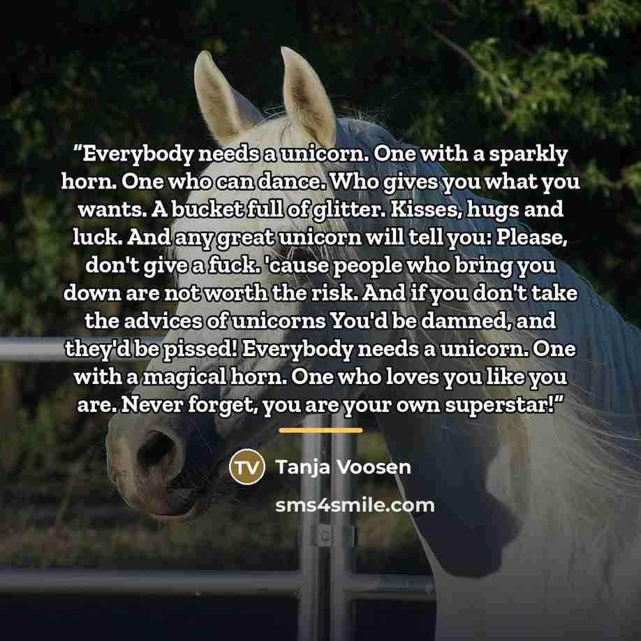 “Everybody needs a unicorn. One with a sparkly horn. One who can dance. Who gives you what you wants. A bucket full of glitter. Kisses, hugs and luck. And any great unicorn will tell you: Please, don't give a fuck. 'cause people who bring you down are not worth the risk. And if you don't take the…” quote by Anonymous
