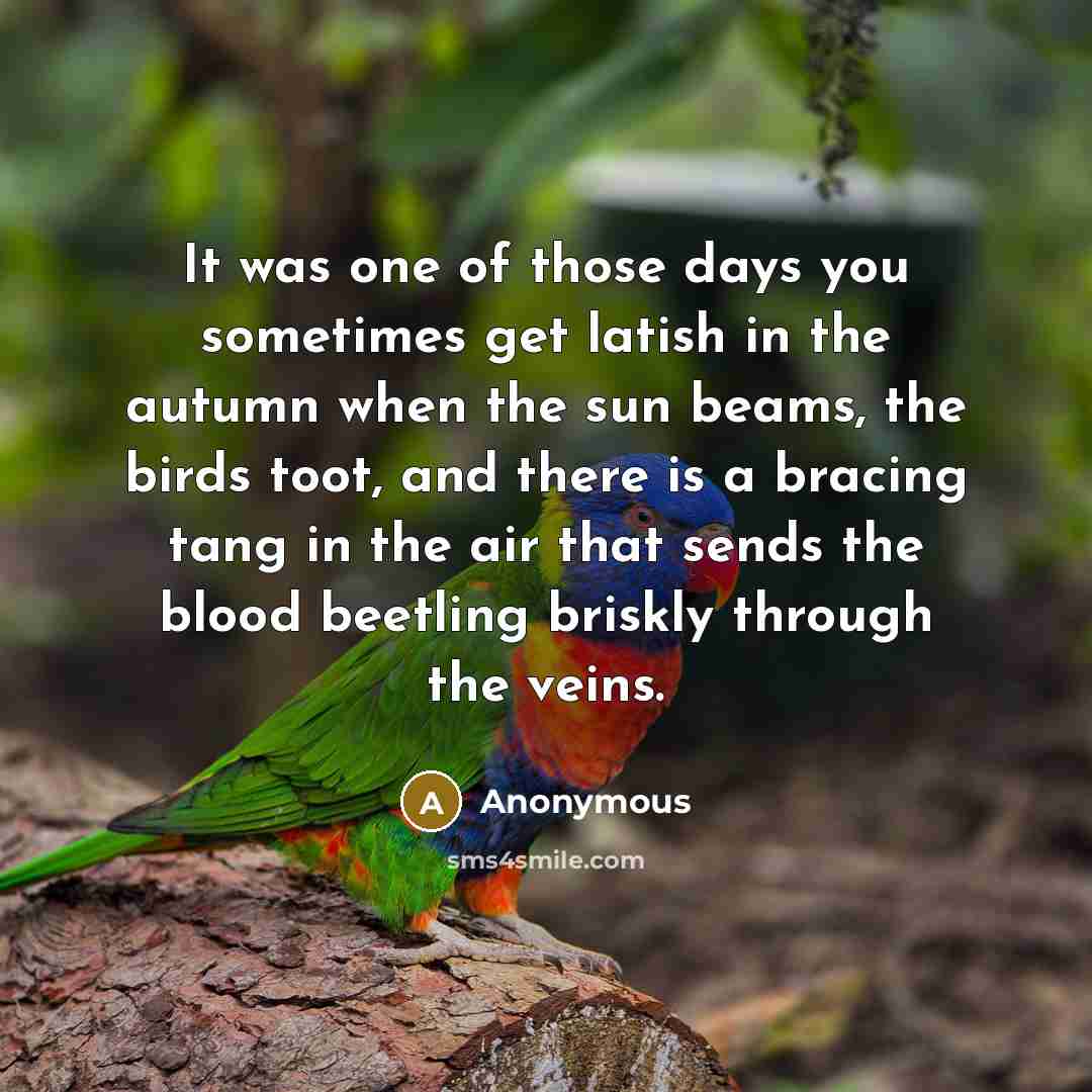 “It was one of those days you sometimes get latish in the autumn when the sun beams, the birds toot, and there is a bracing tang in the air that sends the blood beetling briskly through the veins.” quote by Anonymous