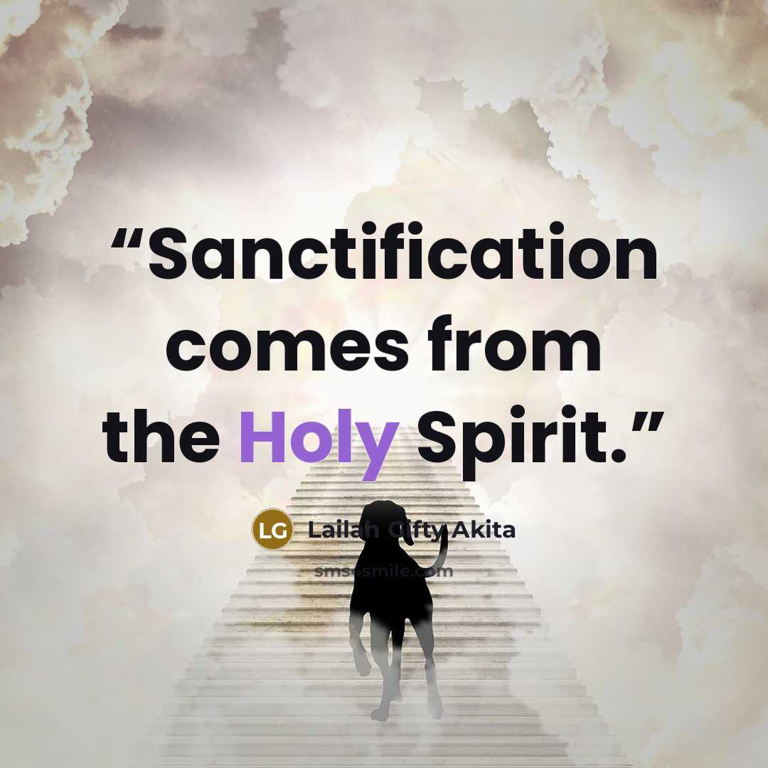 “Sanctification comes from the Holy Spirit.” quote by Lailah Gifty Akita