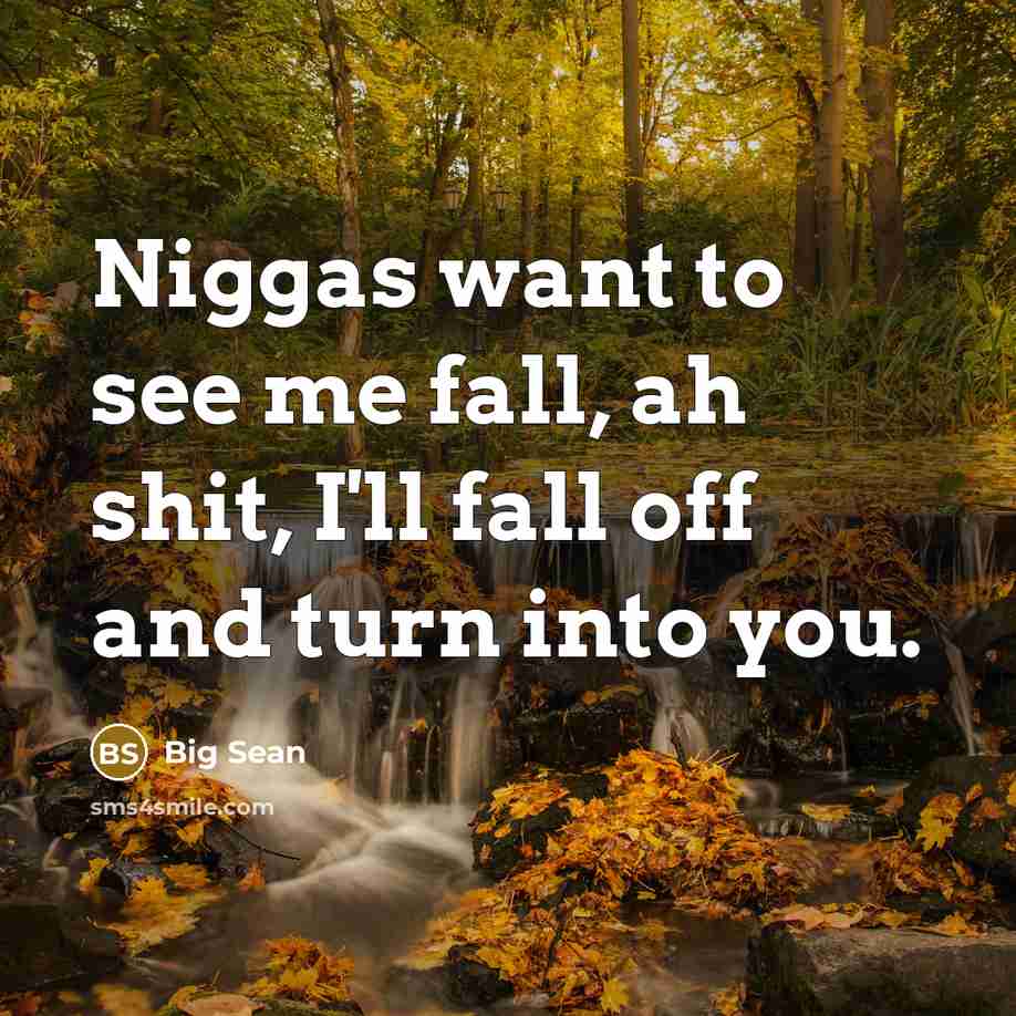 “Niggas want to see me fall, ah shit, I'll fall off and turn into you.” quote by Big Sean