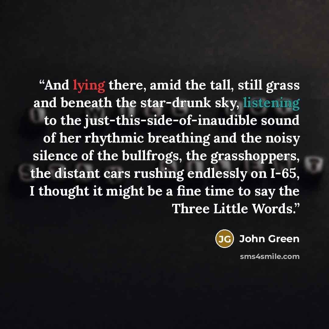 “And lying there, amid the tall, still grass and beneath the star-drunk sky, listening to the just-this-side-of-inaudible sound of her rhythmic breathing and the noisy silence of the bullfrogs, the grasshoppers, the distant cars rushing endlessly on I-65, I thought it might be a fine time to say…” quote by John Green