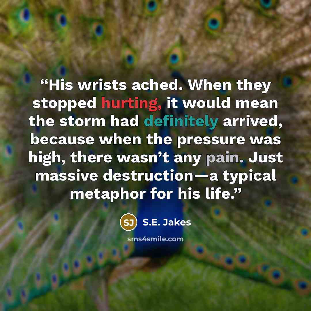 “His wrists ached. When they stopped hurting, it would mean the storm had definitely arrived, because when the pressure was high, there wasn’t any pain. Just massive destruction—a typical metaphor for his life.” quote by S.E. Jakes