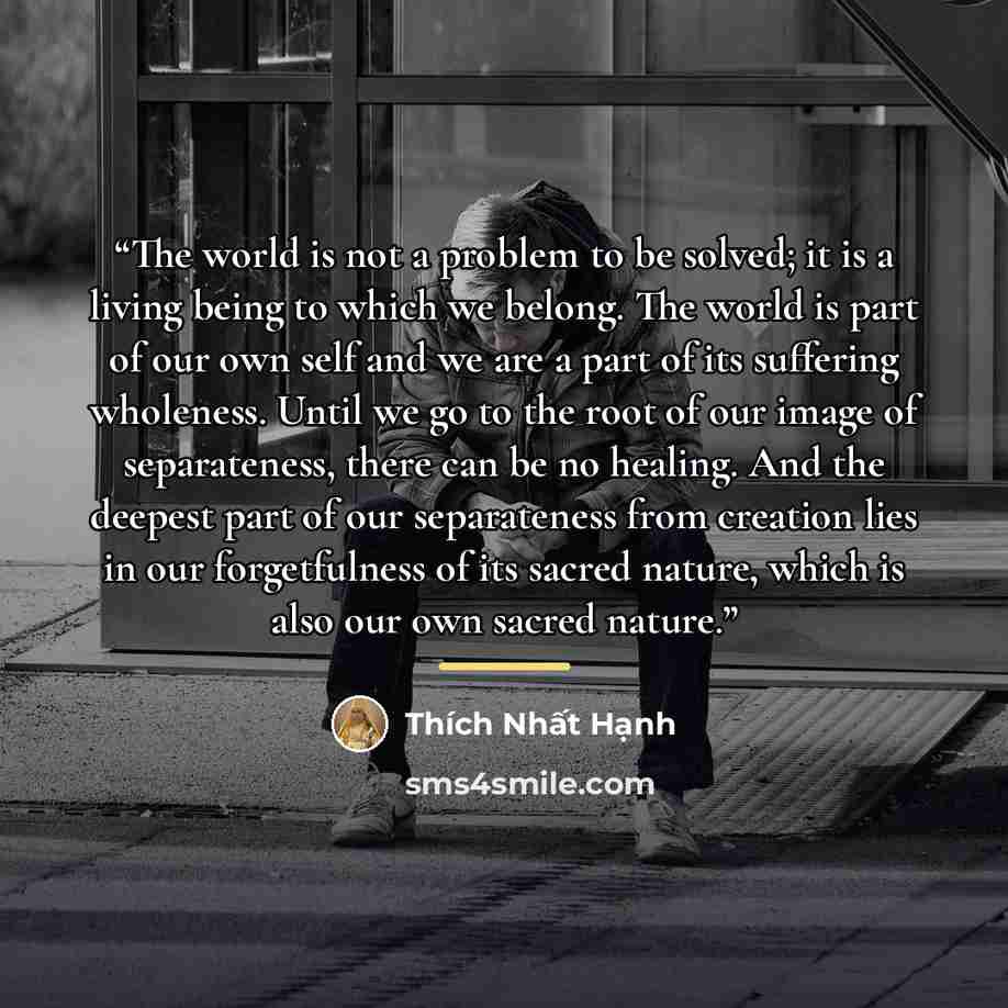 “The world is not a problem to be solved; it is a living being to which we belong. The world is part of our own self and we are a part of its suffering wholeness. Until we go to the root of our image of separateness, there can be no healing. And the deepest part of our separateness from creation…” quote by Thích Nhất Hạnh