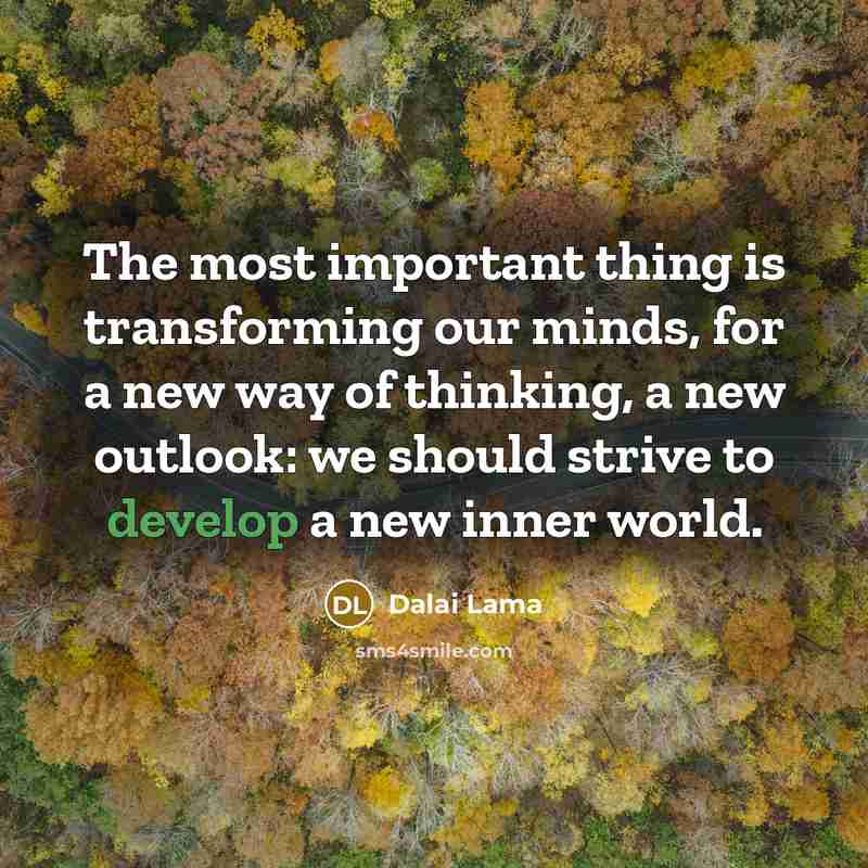 “The most important thing is transforming our minds, for a new way of thinking, a new outlook: we should strive to develop a new inner world.” quote by Dalai Lama