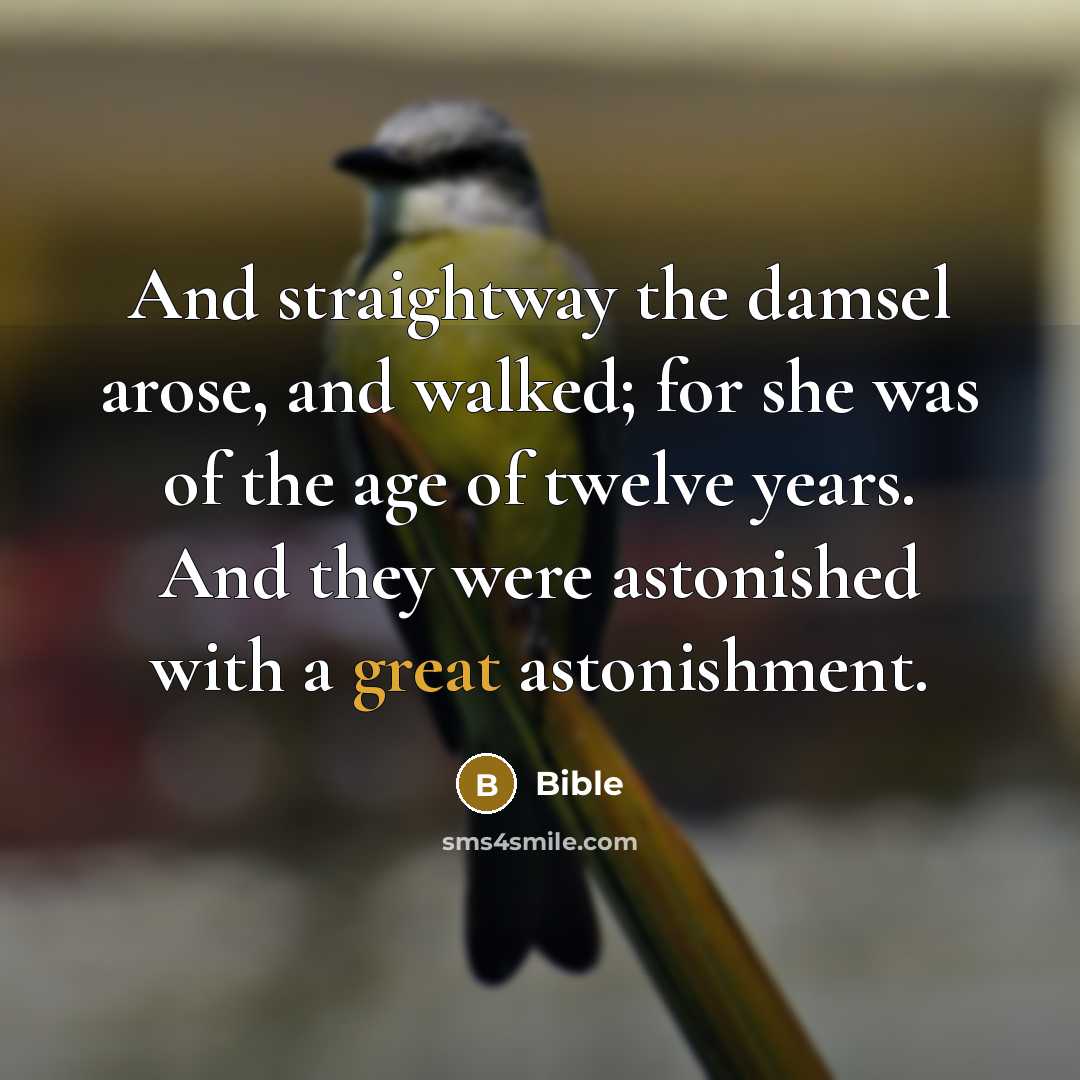 “And straightway the damsel arose, and walked; for she was of the age of twelve years. And they were astonished with a great astonishment.” quote by Bible