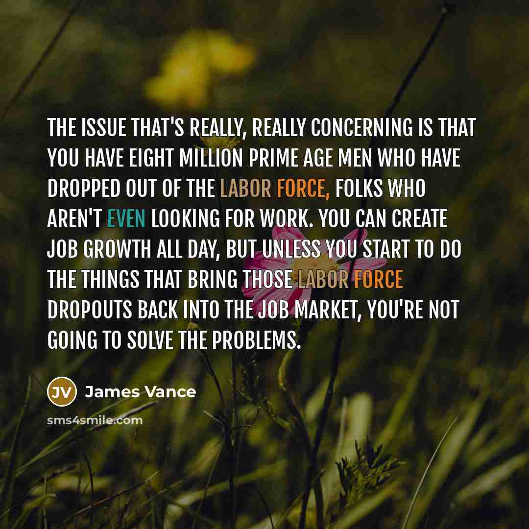 “The issue that's really, really concerning is that you have eight million prime age men who have dropped out of the labor force, folks who aren't even looking for work. You can create job growth all day, but unless you start to do the things that bring those labor force dropouts back into the job…” quote by James Vance