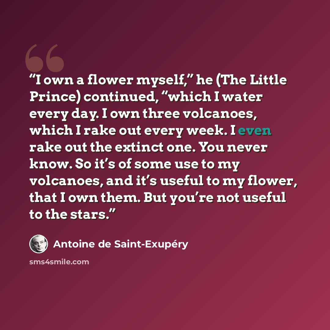 “I own a flower myself,” he (The Little Prince) continued, “which I water every day. I own three volcanoes, which I rake out every week. I even rake out the extinct one. You never know. So it’s of some use to my volcanoes, and it’s useful to my flower, that I own them. But you’re not useful to the…” quote by Antoine de Saint-Exupéry