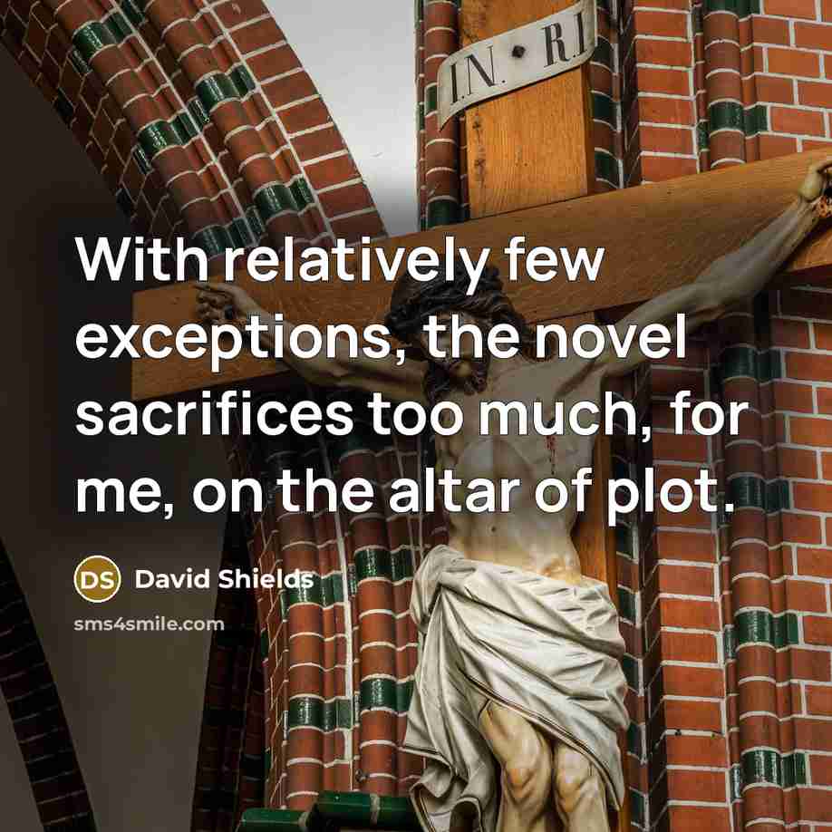 “With relatively few exceptions, the novel sacrifices too much, for me, on the altar of plot.” quote by David Shields