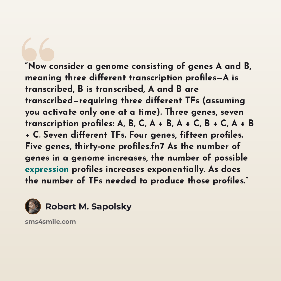 “Now consider a genome consisting of genes A and B, meaning three different transcription profiles—A is transcribed, B is transcribed, A and B are transcribed—requiring three different TFs (assuming you activate only one at a time). Three genes, seven transcription profiles: A, B, C, A + B, A + C…” quote by Robert M. Sapolsky