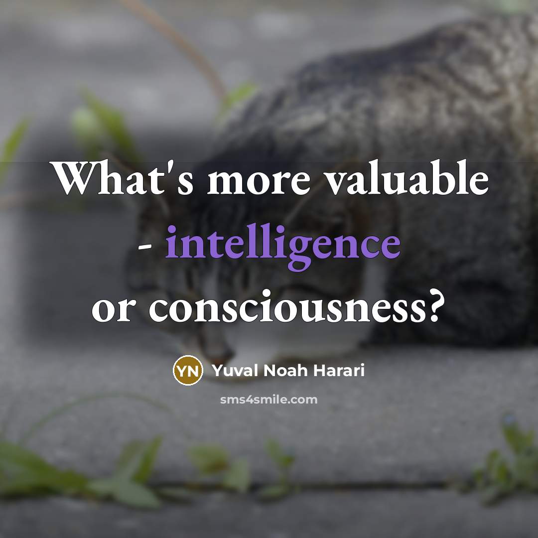 “What's more valuable - intelligence or consciousness?” quote by Yuval Noah Harari