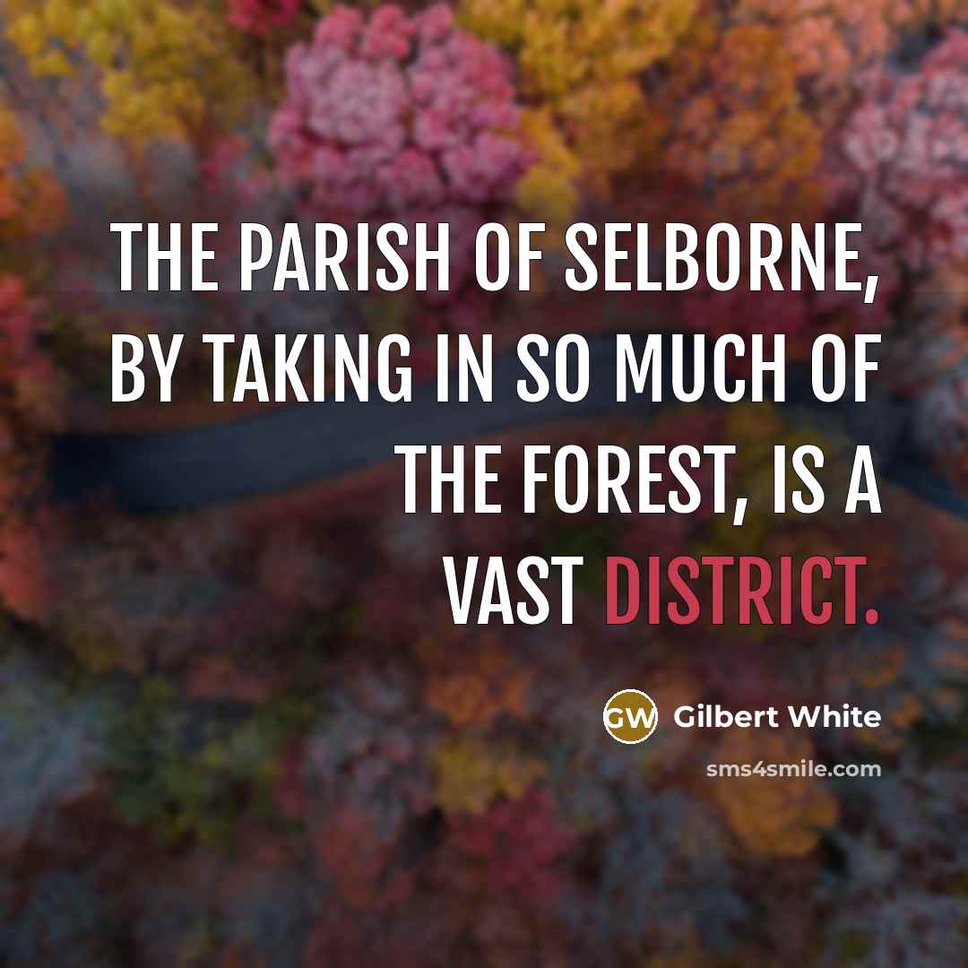 “The parish of Selborne, by taking in so much of the forest, is a vast district.” quote by Gilbert White