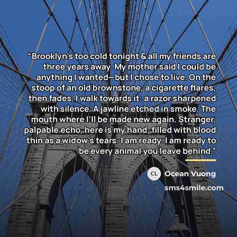 “Brooklyn’s too cold tonight & all my friends are three years away. My mother said I could be anything I wanted—but I chose to live. On the stoop of an old brownstone, a cigarette flares, then fades. I walk towards it: a razor sharpened with silence. A jawline etched in smoke. The mouth where I’ll…” quote by Ocean Vuong