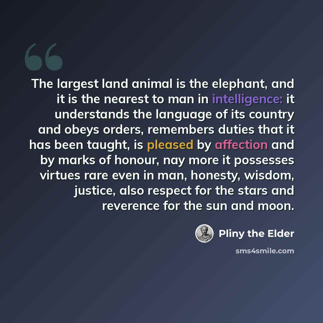 “The largest land animal is the elephant, and it is the nearest to man in intelligence: it understands the language of its country and obeys orders, remembers duties that it has been taught, is pleased by affection and by marks of honour, nay more it possesses virtues rare even in man, honesty…” quote by Pliny the Elder