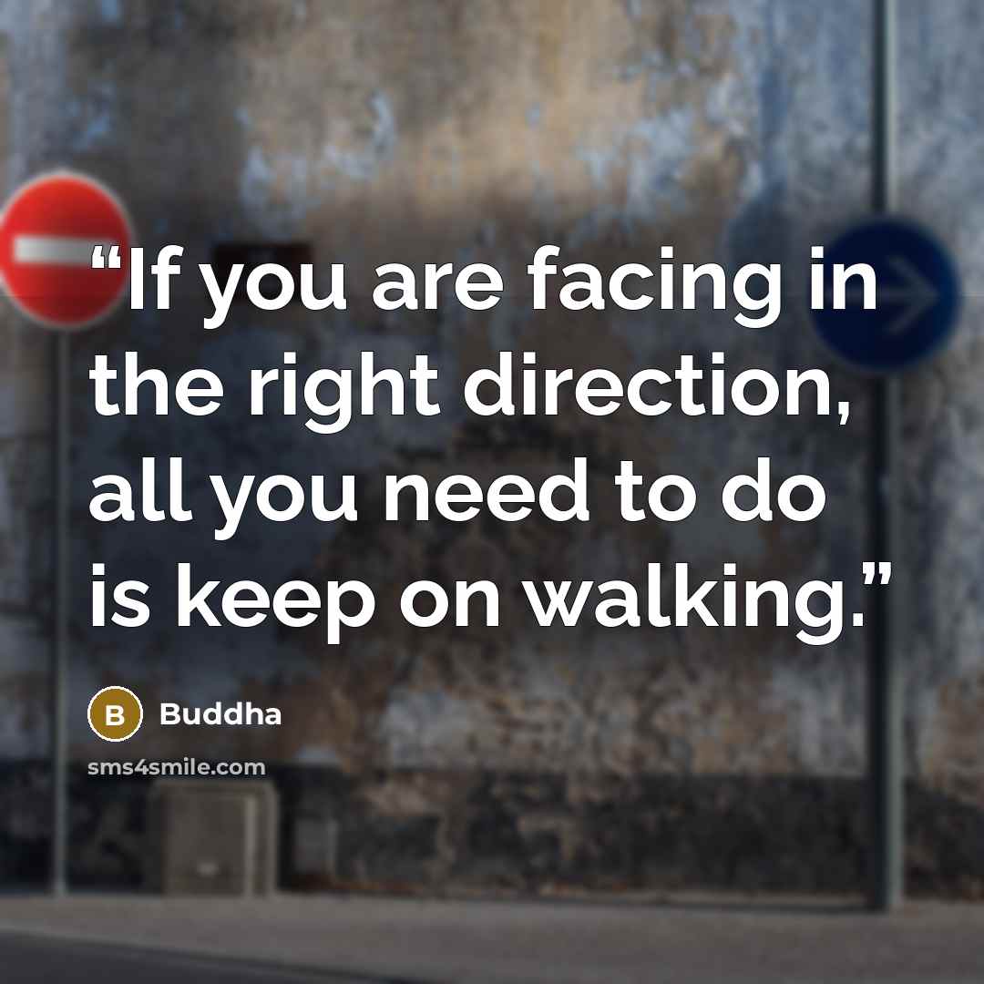 “If you are facing in the right direction, all you need to do is keep on walking.” quote by buddha