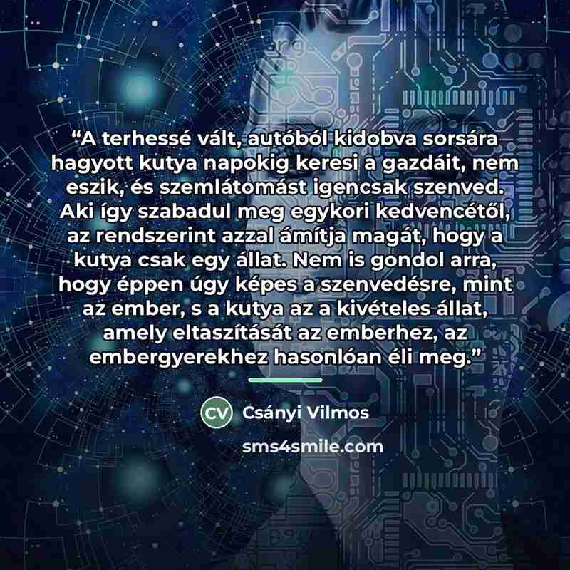 “A terhessé vált, autóból kidobva sorsára hagyott kutya napokig keresi a gazdáit, nem eszik, és szemlátomást igencsak szenved. Aki így szabadul meg egykori kedvencétől, az rendszerint azzal ámítja magát, hogy a kutya csak egy állat. Nem is gondol arra, hogy éppen úgy képes a szenvedésre, mint az…” quote by Anonymous