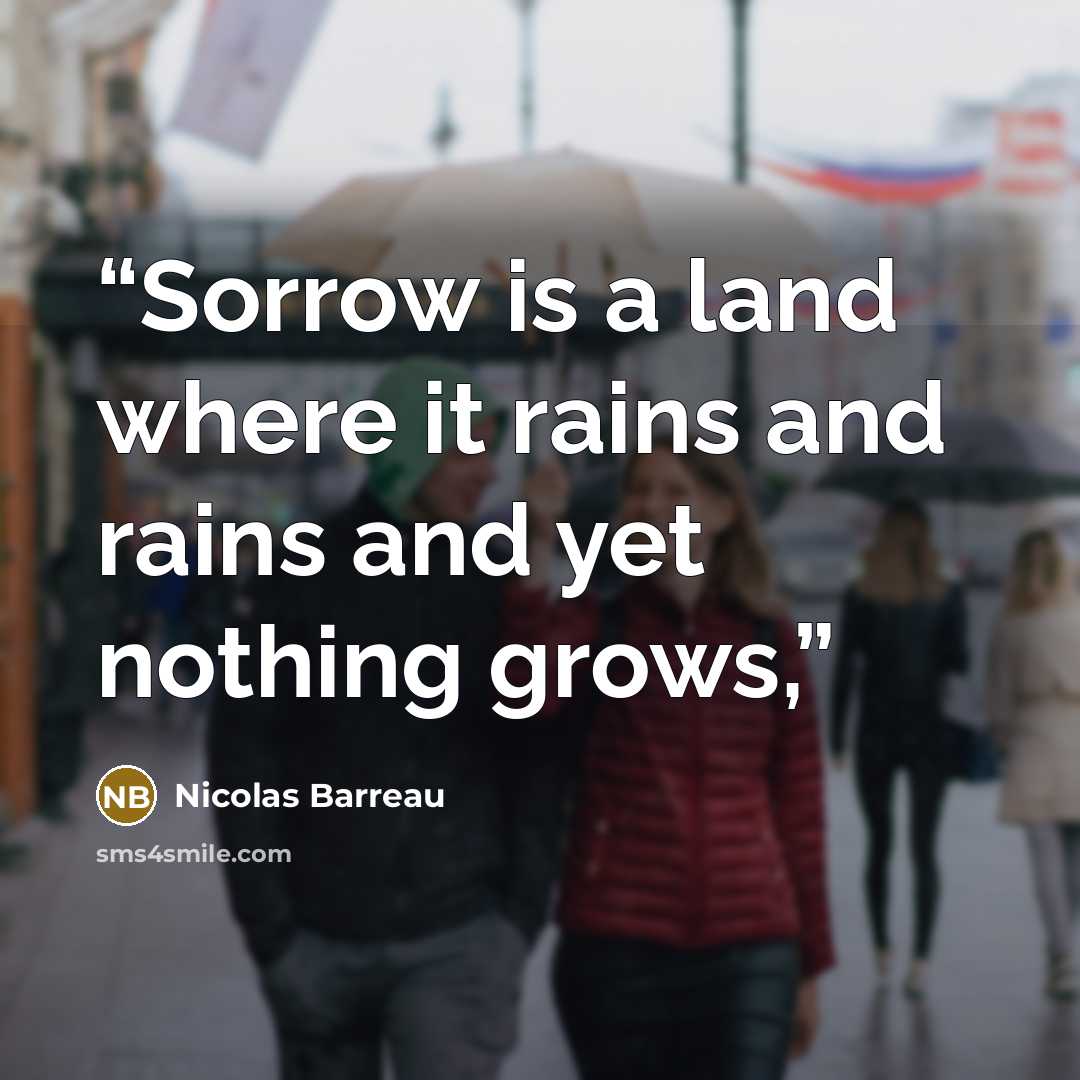 “Sorrow is a land where it rains and rains and yet nothing grows,” quote by Nicolas Barreau